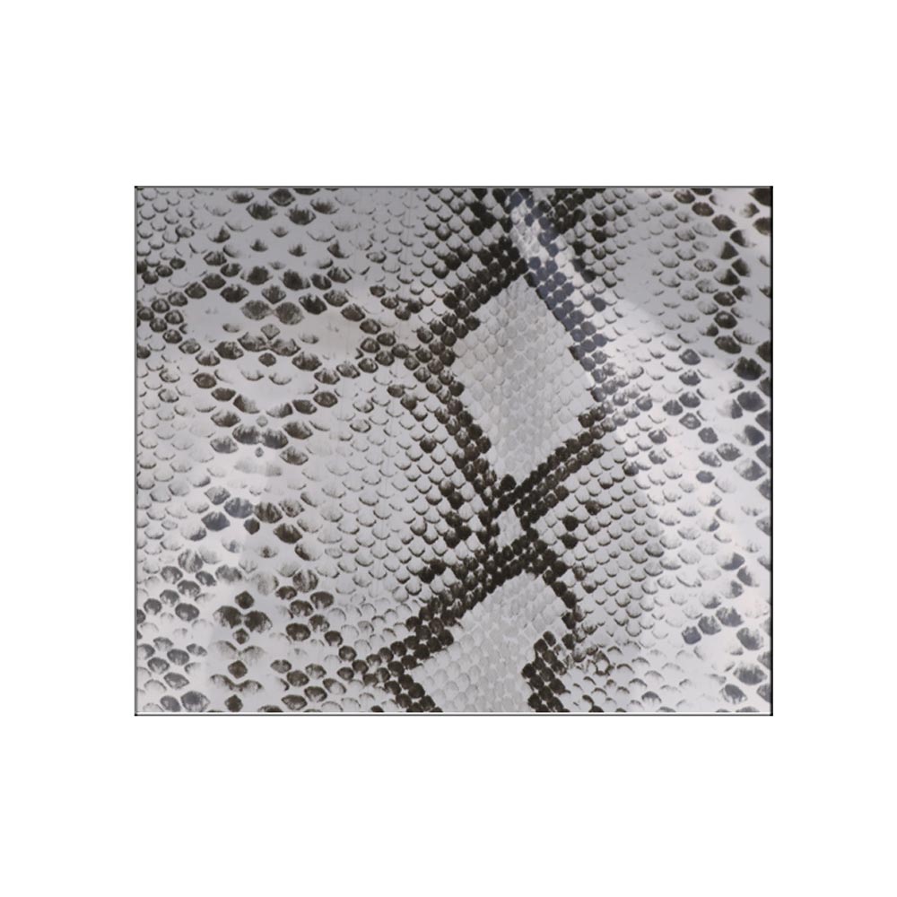 HATEGORY Snake Skin Patterned Transparent Bucket Hat